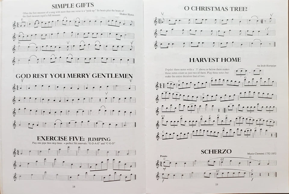 Pan Flute Fun With Lessons Songs Sheet Music Songbook - Image 4 of 4