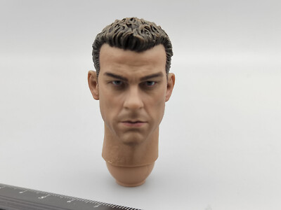 DAMTOYS DAM SF001 1/6 GHOST SERIE Glint Team Leader Ryder Watson BRAND Head