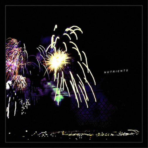 Nutrients Different Bridges (Vinyl LP) 12" Album