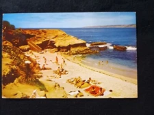 Cove La Jolla Beach Scene Bathers Swimmer California CA Posted 1954 Postcard