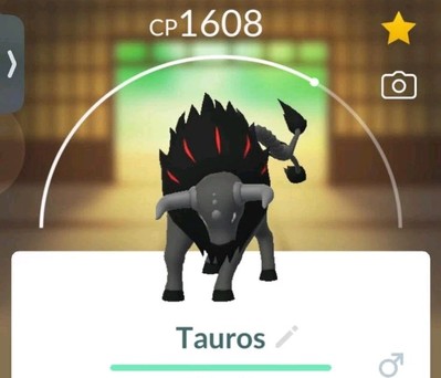 Pokemon Go/Paldean Tauros-Blaze Breed/20k Stardust Tr@de If Unregistred 