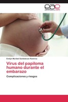 Evelyn Maribel Santistevan Ramirez | Virus Del Papiloma Humano Durante El...