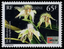 NEW CALEDONIA 744 - Native Orchids "Dendrobium macrophyllum" pc38197