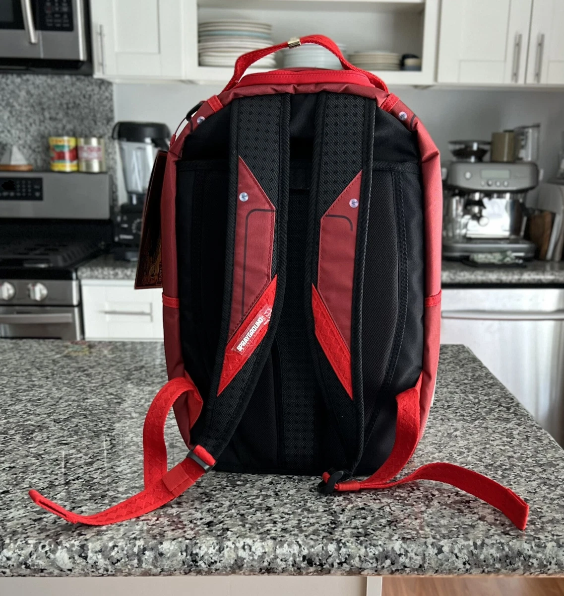 Red Transparent Backpack