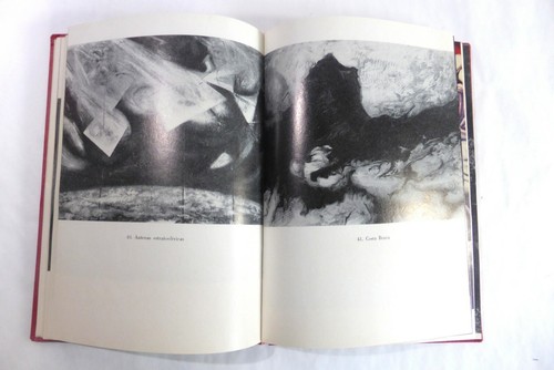 Kunstsammlung 8 Siquieros Realitäteneinführung Rachel Tibol - Bild 4 von 12