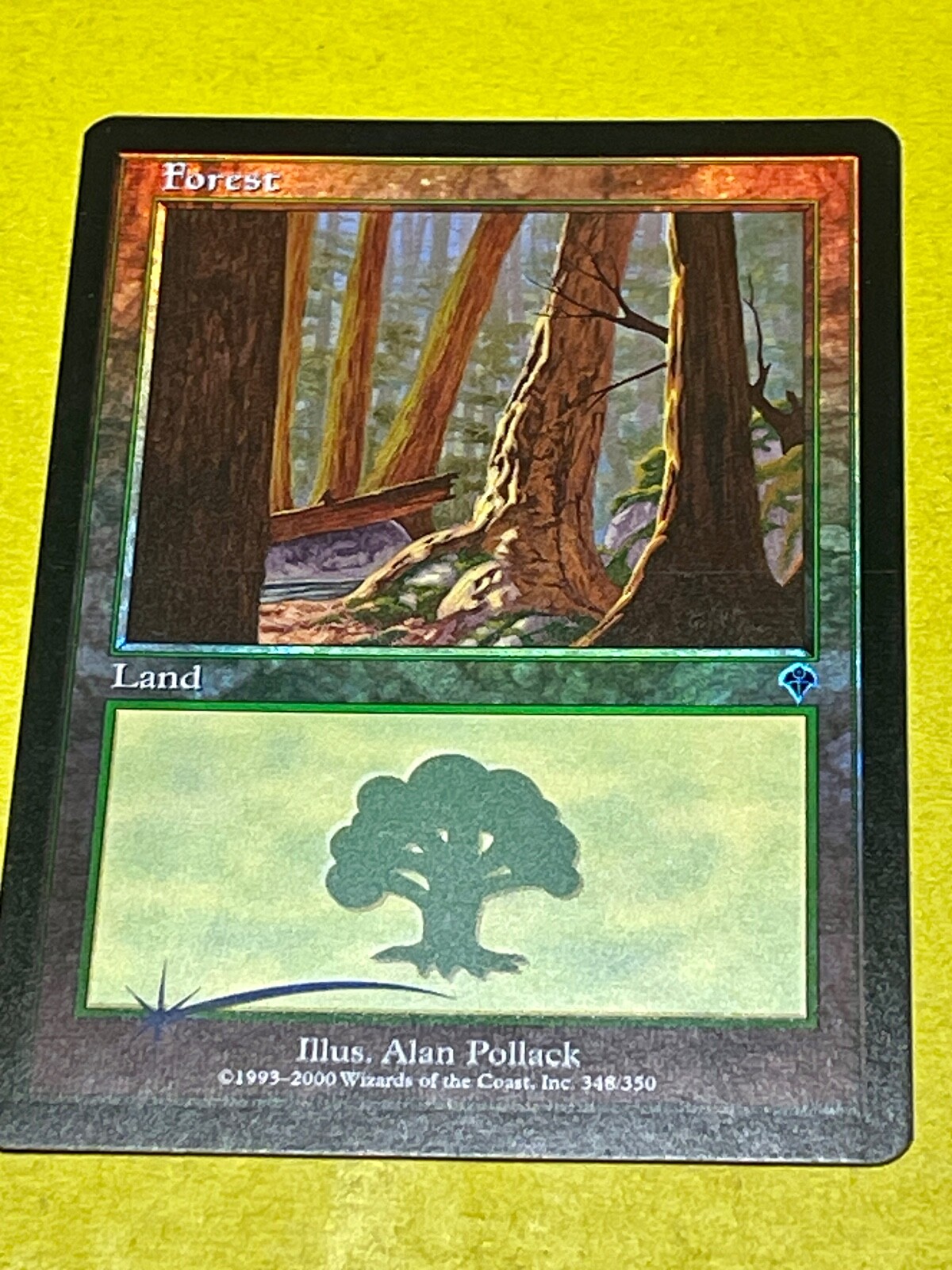 Forest (348) FOIL Invasion NM Basic Land MAGIC THE GATHERING MTG CARD