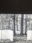 Foto 2 di 4