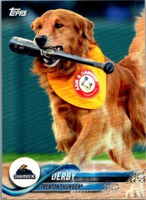 Derby 2018 Topps Pro Debut #113 Trenton Thunder Card