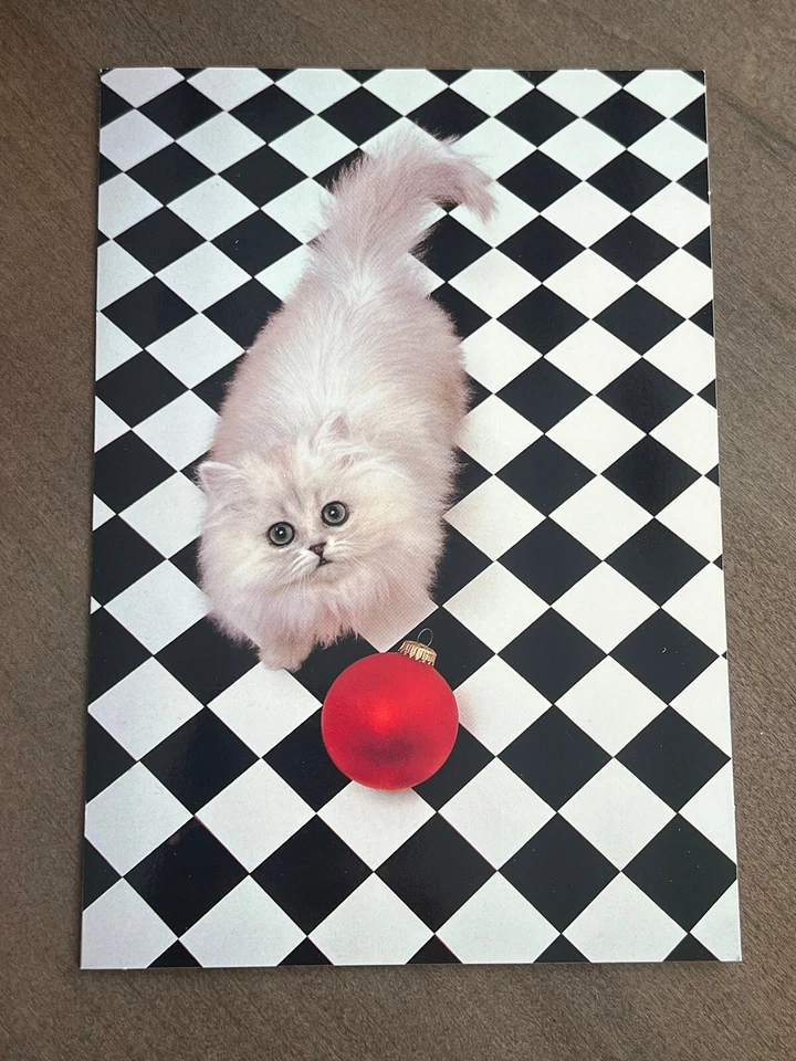 8 рождественских открыток Hallmark, 9 красных конвертов, фотография кошки Ричарда Фанолио, новые - Изображение 2 из 4