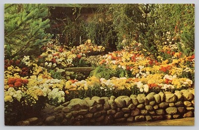 Phipps Conservatory Pittsburgh PA Fall Flower Show Rustic Garden Postcard