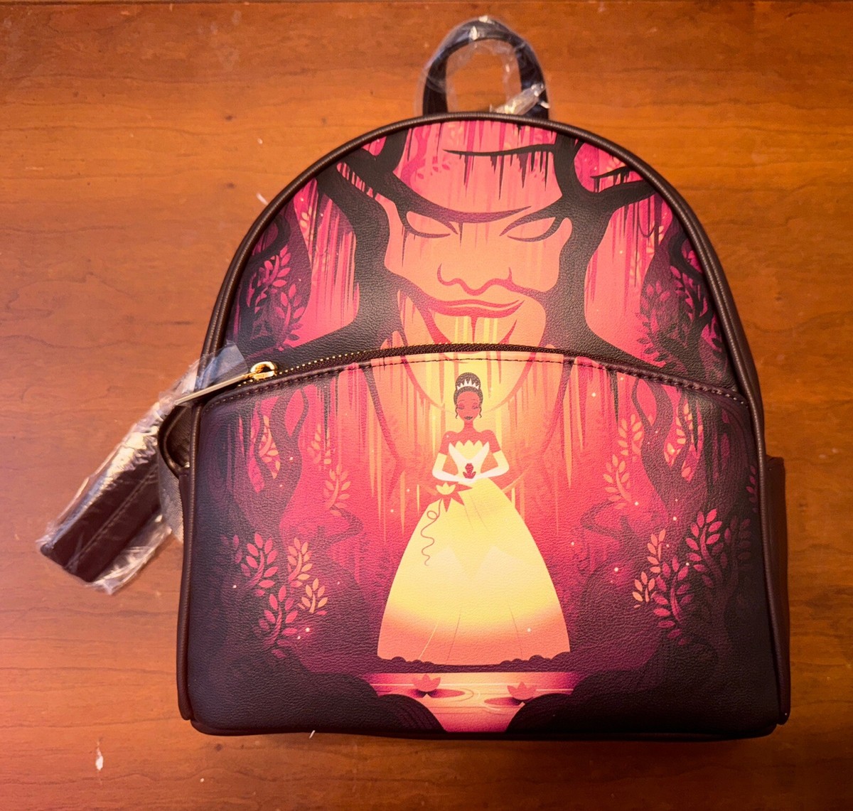 Danielle Nicole Brown Backpack Disney Princess Tiana & the 