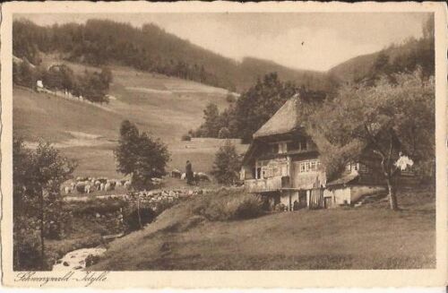 AK, Bad Peterstal? im Schwarzwald mit Schäfer, Schafe, Schwarzwaldhaus, um 1954 - Afbeelding 1 van 1