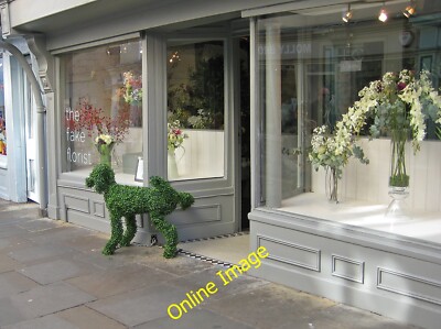 Photo 12x8 Well, that's a relief York/SE5951 Fake topiary dog takes a fak c2013