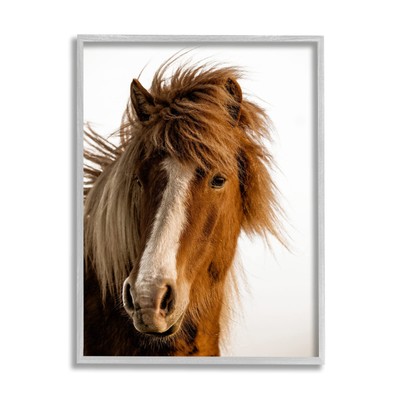 Long Mane Horse Equestrian Portrait Brown Animal Photograph, Designed by Dani...