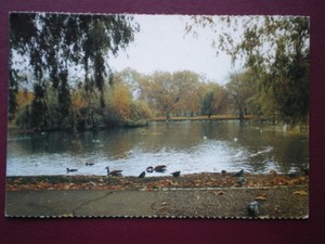 Postcard London Barnes Pond Ebay