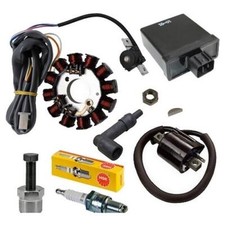 Ensemble réfection allumage 2004> Rieju Rs 2T 50cc H2O Ovetto Neos Mach-G