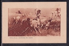 Cartolina Pittore Stefano Bruzzi Guardiana del Campo YB556