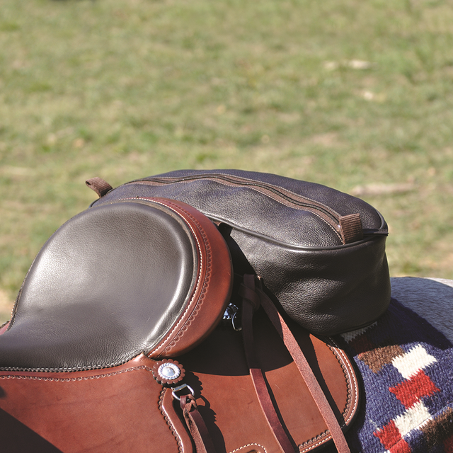 Cashel Company Leather Shaped Cantel Bag eBay