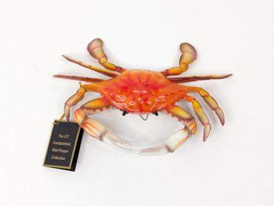 10'' Red Maryland Crab Beach Tiki Bar Wall Mount Decor Sculpture CIT Collection 