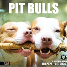 Pit Bulls 2026 Wall Calendar 12 Month | 12" x 24" Open | Thick & Sturdy Paper...