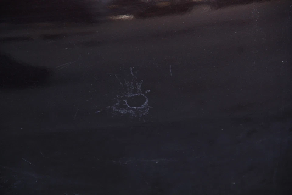 Honda Element 03-11 Rear Tailgate Trunk Lid Assy Purple 68100-SCV-A90ZZ, A798, O - Image 3 of 4