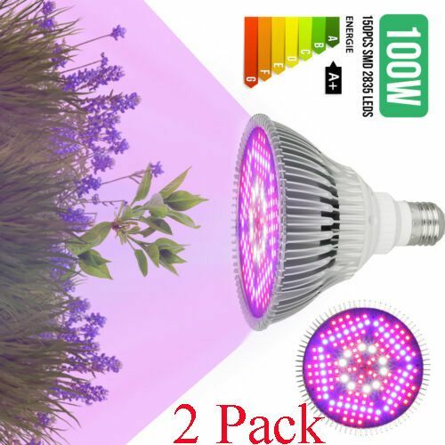 Plants Growing Light Lamp Bulb Indoor Veg