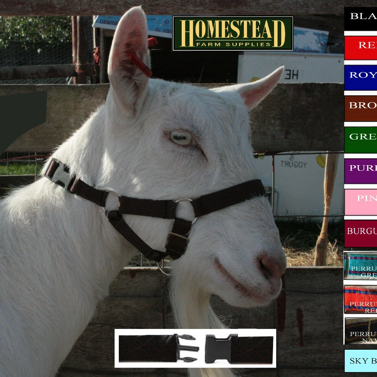 Goat head collar sales