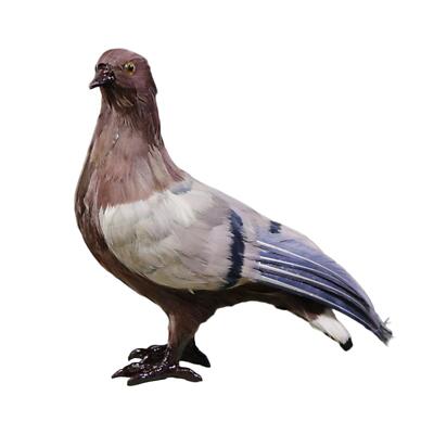 Simulation Taube Modell Taube Figur Basteln Vogel Spielzeug Sammlerstück realistisch