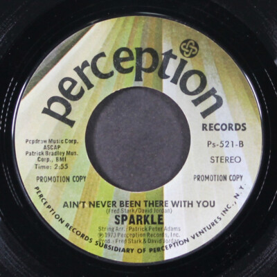 SPARKLE: that could be the reason PERCEPTION 7'' Single 45 RPM