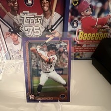 Topps Chrome Rookie Serial Purple  118/250 Zach Dezenzo Astros Card #294