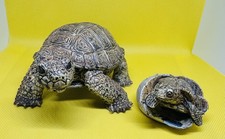 Turtles- 2 rubber/plastic tortoises - toy / figurines - Hatchling and Adult