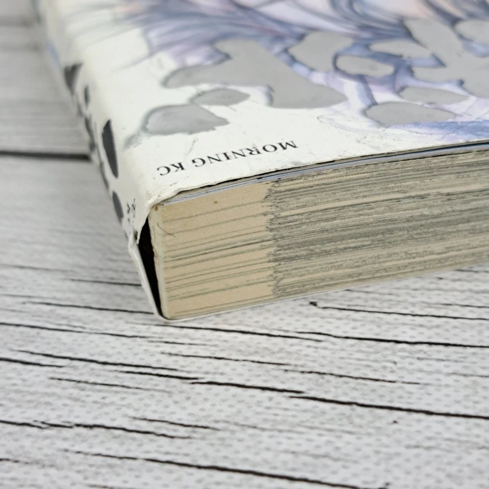 OBI Vagabond Volumen 1 Primera edición. & 1ª impresión Morning KC de Japón Foto 4 de 4