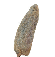 Dinosaur Tooth Spinosaurus Spinosaur Morocco (EA9978) fossil cretaceous jurassic