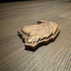 Copper eagle  — photo 2