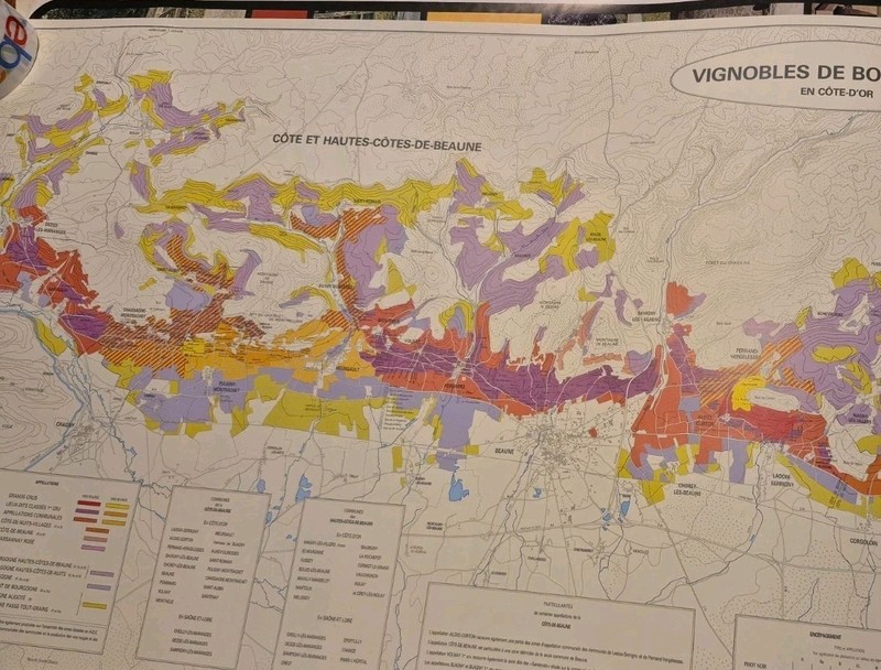 Color-coded Vignobles de Bourgogne wine map focusing on Côte de Beaune region