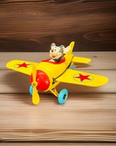 Mickey Mouse Airplane | eBay
