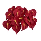 20 PCS Anthurium Clay Flower ( 1.8 inches)  for Jewelry Making, Craft Supplies
