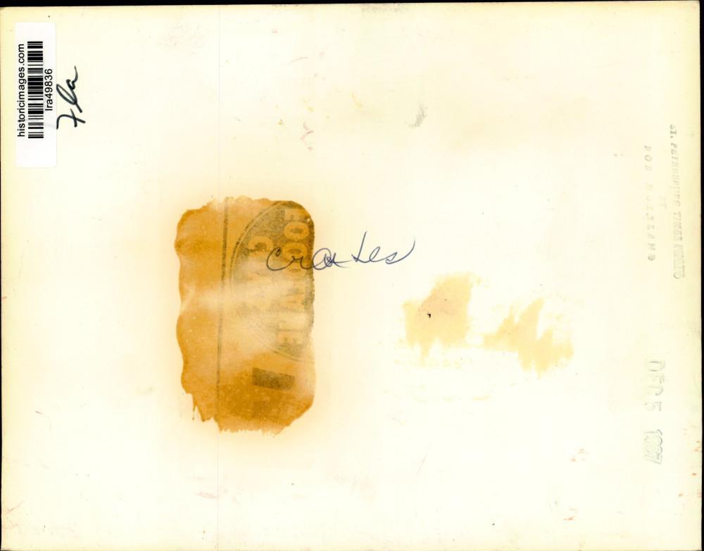 1987 Press Photo Workers put fresh produce into crates in Florida - lra49836