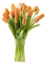 PRIME NEXT DAY DELIVERY - Fall Collection - 20 Orange Tulips Fresh For Delive...