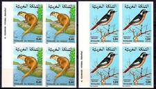 Morocco 1979 Birds Songbirds/ Moussier's redstart Animals/ Otter Imperf Bl 4 MNH