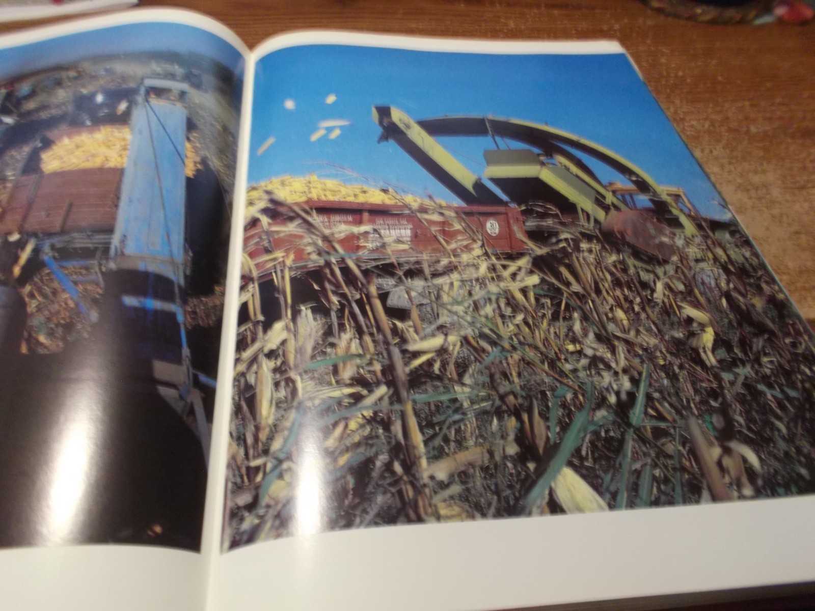 Gifts of the Georgian Land - Georgian, Russian, and English - HC 1988