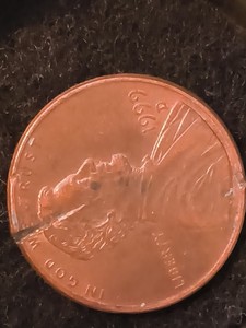 1999 D Mint Penny One Of A Kind Rare Exciting Exclamation Point Error