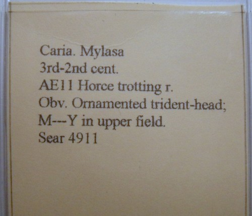 Greece Caria Mylasa 3rd-2nd cent. Ae 11 Horse r. Trident-head Sear 4911 - Picture 3 of 4