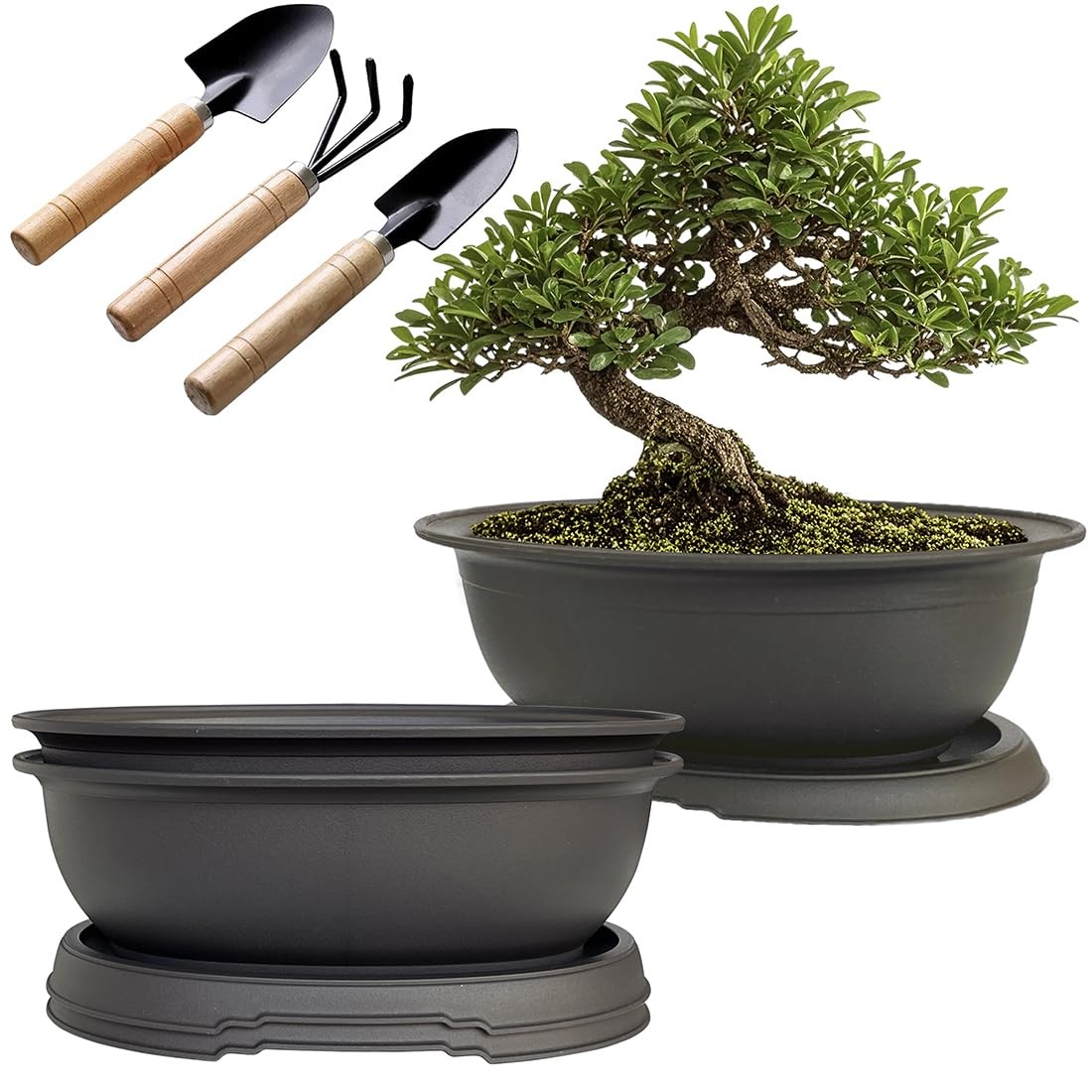 bambus mini Bibol Bat Bamboo Mini Bowl Noir | Bowls & Basins main image 0