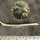 Picture 6 of 8