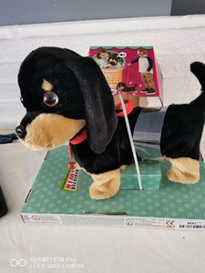 wiggling walking puppy