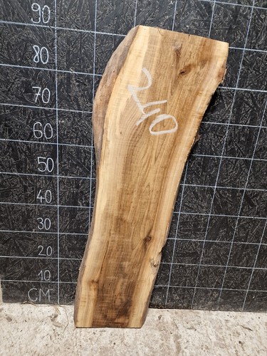 ENGLISCHE NUSSBAUMPLATTE LEBENDKANTE OFENGETROCKNETES HARTHOLZ (240) 920x250-300 x50 mm