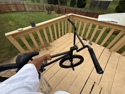 WE THE PEOPLE  reason  Custom bike