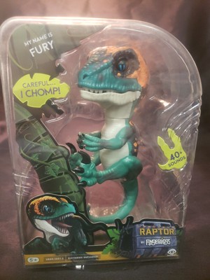 blue raptor fingerling