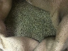 5 LB FRESH UNROASTED TANZANIAN TANZANIA GREEN COFFEE BEANS - ARABICA